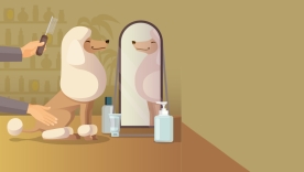 Toilettage Animaliers